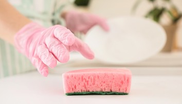 Kuchynské špongie sú plné baktérií. Kedy ich musíte vymeniť?