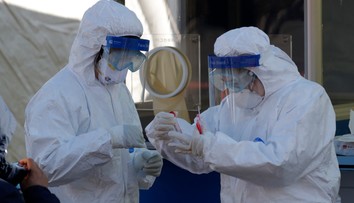 V USA potvrdili prvý prípad koronavírusu u voľne žijúceho zvieraťa