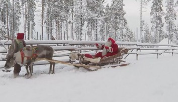 Tí, čo veria v Santu, sa naňho môžu tešiť. V Laponsku už štartuje svoje soby