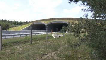 Na Slovensku pribudol tretí zelený most, pomôže zvieratám pri migrácii