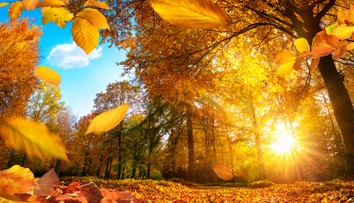 November 2020 bol najteplejším v histórii meraní