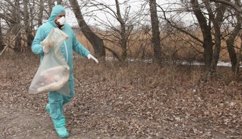 V Bytči potvrdili ohnisko vtáčej chrípky, nariadili opatrenia