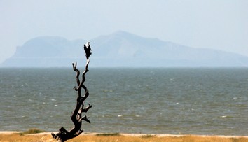Ľudia tu miznú bez vysvetlenia. Záhadný ostrov desí vedcov celé desaťročia