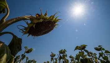 Meteorológovia zvýšili výstrahy v niektorých okresoch na tretí stupeň