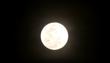 Nebeské divadlo v Južnej Amerike. Oblohu nad Bogotou aj Riom de Janeiro rozžiaril supermesiac