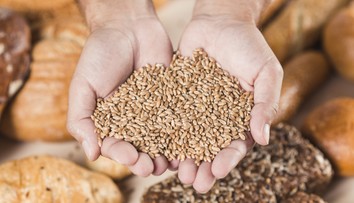 Na chudnutie bezlepkovými potravinami? Odborníčka prezradila, či táto náhrada skutočne pomôže v boji s kilami navyše