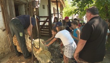 Deti pasú husi, strihajú ovce a žijú bez obrazoviek. Netradičný letný tábor na juhu Slovenska