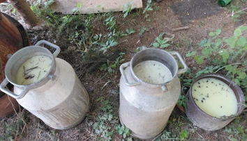Mimoriadna situácia na Liptove: Salmonela v bryndzi, ľudia skončili v nemocnici. Otrasné FOTO zo „salaša“