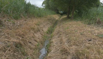 Voda nám na Slovensku mizne pred očami. Potoky vysychajú čoraz skôr