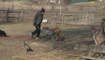 Prihlásil sa majiteľ vlčiakov, ktoré roztrhali farmárom kozu. Dostal od policajtov aj pokutu