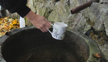 Kedysi boli zdrojom vody, dnes sú miestom oddychu. Pri mestských studničkách však treba byť opatrný