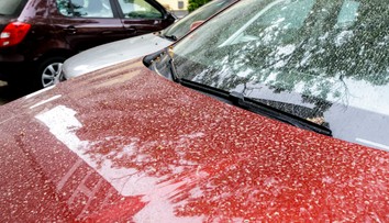 Auto si ani nemusíte umývať. Slovensko opäť zasiahne saharský prach