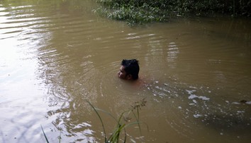 VIDEO: Skúška odvahy sa skončila tragédiou. Na chlapca sa vrhol obrovský krokodíl, kamaráti sa iba bezmocne prizerali