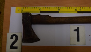 Zvlášť krutá bolesť a utrpenie. Muž mal sekerou napadnúť psa, veterinár ho musel utratiť