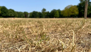 Prichádza „Hot Flash Drought“. Klimatológ varuje Slovákov pred nebezpečným javom