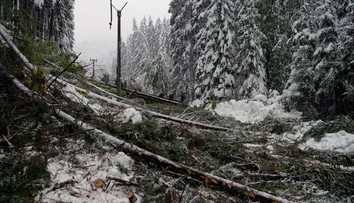 Na strednom Slovensku je bez elektriny 15-tisíc domácností, na západnom len 800