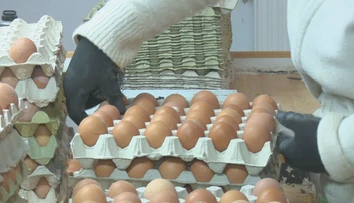 Lidl spravil zmenu v regáloch, ktorá prekvapila zákazníkov. Reťazce sa pri obľúbenej potravine nezhodujú