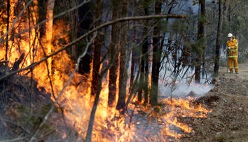 Ďalší austrálsky štát v ohrození: Pre požiare vyzvali 240-tisíc ľudí na evakuáciu