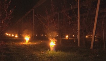 Boj o ceny ovocia: Ovocinári spustili po celej krajine protimrazový alarm