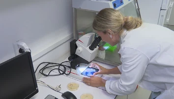 Unikátny objav na Slovensku. Košickí vedci našli dve baktérie, ktoré nikde inde na svete nežijú