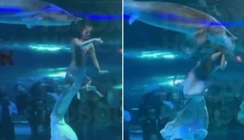 VIDEO: Animátorku v akváriu napadol obrovský jeseter. Ryba jej pred zrakmi kričiacich detí pohltila hlavu