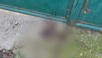 Krvavý incident pri Hlohovci. Našli tam dobodaného muža, podozrivou má byť príbuzná bývalého policajného funkcionára