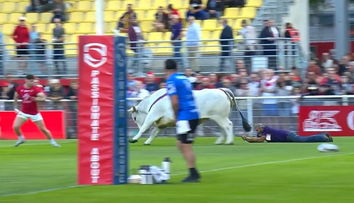 VIDEO: Kto mohol, utekal. Hráčov vydesil počas rozcvičky na ihrisku býk