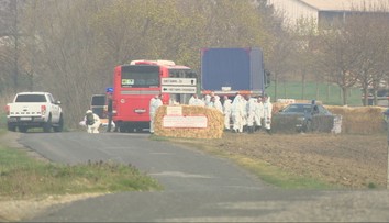 Obrovský smútok a beznádej v Plaveckom Štvrtku. Na výpomoc pri utrácaní dobytka prišiel aj autobus s väzňami