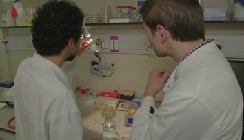 Viete, koľko plastu zjete spolu s jedlom?