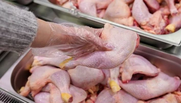 Robíte túto chybu pri mrazení kuraciny? Odborníci varujú pred rizikom pre zdravie,  jedna vec je kľúčová