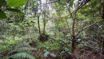 Nájdete na fotografii dvanásť britských vojakov?