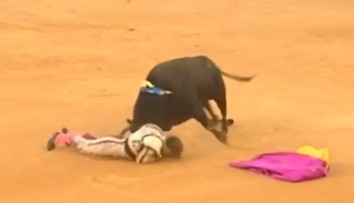VIDEO: Hororový útok býka. Toreádor má poškodené tepny a takmer 30-centimetrové rany