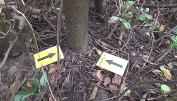 Zmrzačené vtáky na Zemplíne. Pytliaci ich lákajú na návnady v nášľapných pasciach