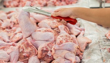 Na Slovensko sa dováža nekvalitné mäso z Poľska, ktoré malo skončiť v kafilérii, tvrdia hydinári