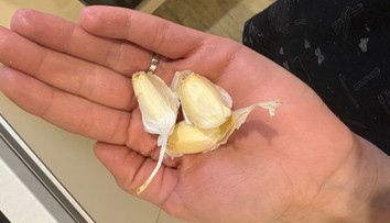 Bravčová masť na hrudník, slaná voda na kloktanie či cesnak. Pozreli sme sa, ako pomáhajú babské recepty