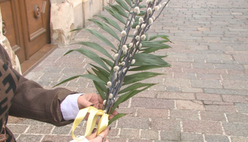 Palmová nedeľa otvára Veľký týždeň. Čo symbolizujú bahniatka?