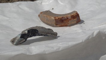 V malej dedine odkryli ďalšie keltské hradisko. Našli tam aj vzácny polodrahokam