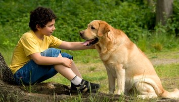 Matka ho nechala napospas osudu. Chlapec vyrastal medzi psami a komunikoval štekaním
