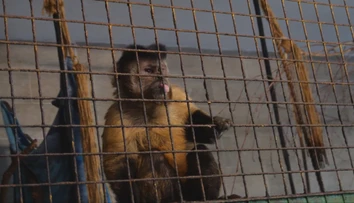 Podobné zariadenie by ste inde na Slovensku hľadali márne. Na sídlisku majú vlastnú zoo
