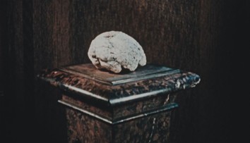 Netušil, že objavil historický poklad z praveku. Od nálezu lebky neandertálca v Gánovciach ubehlo storočie