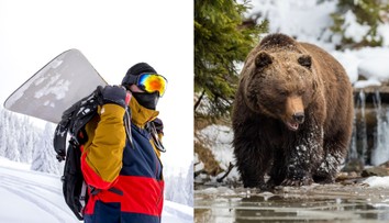 Rus prežil napadnutie medveďom. Pomohol mu telefón