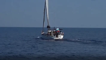 Kapitán lode zachránil šesť mačiatok