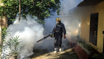 Čína hlási vyše 7 000 prípadov vírusu chikungunya. Na internete vypukla panika