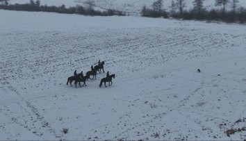 Na koni v zime: Vyskúšali sme si zasneženú vychádzku pod Poľanou
