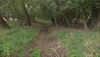 Vody je málo a potoky vysychajú. Farmár prišiel s riešením