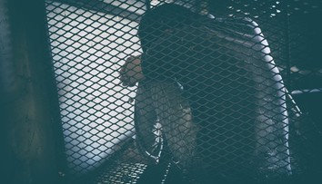 Obchodovanie s ľuďmi rastie: Deti sú čoraz častejšie cieľom