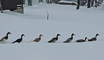 Zima sa vrátila naplno: Lyžiari v strediskách jasajú, záchranári varujú pred lavínami