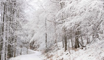 Sneh a mráz naplno vtrhnú na Slovensko. Prvé vločky začnú padať v tento deň