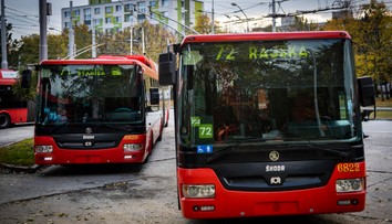 Turista neveril vlastným očiam. Spoje v Bratislave menia kvôli žabám