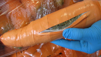 15 najbizarnejších pašeráckych nezdarov roka